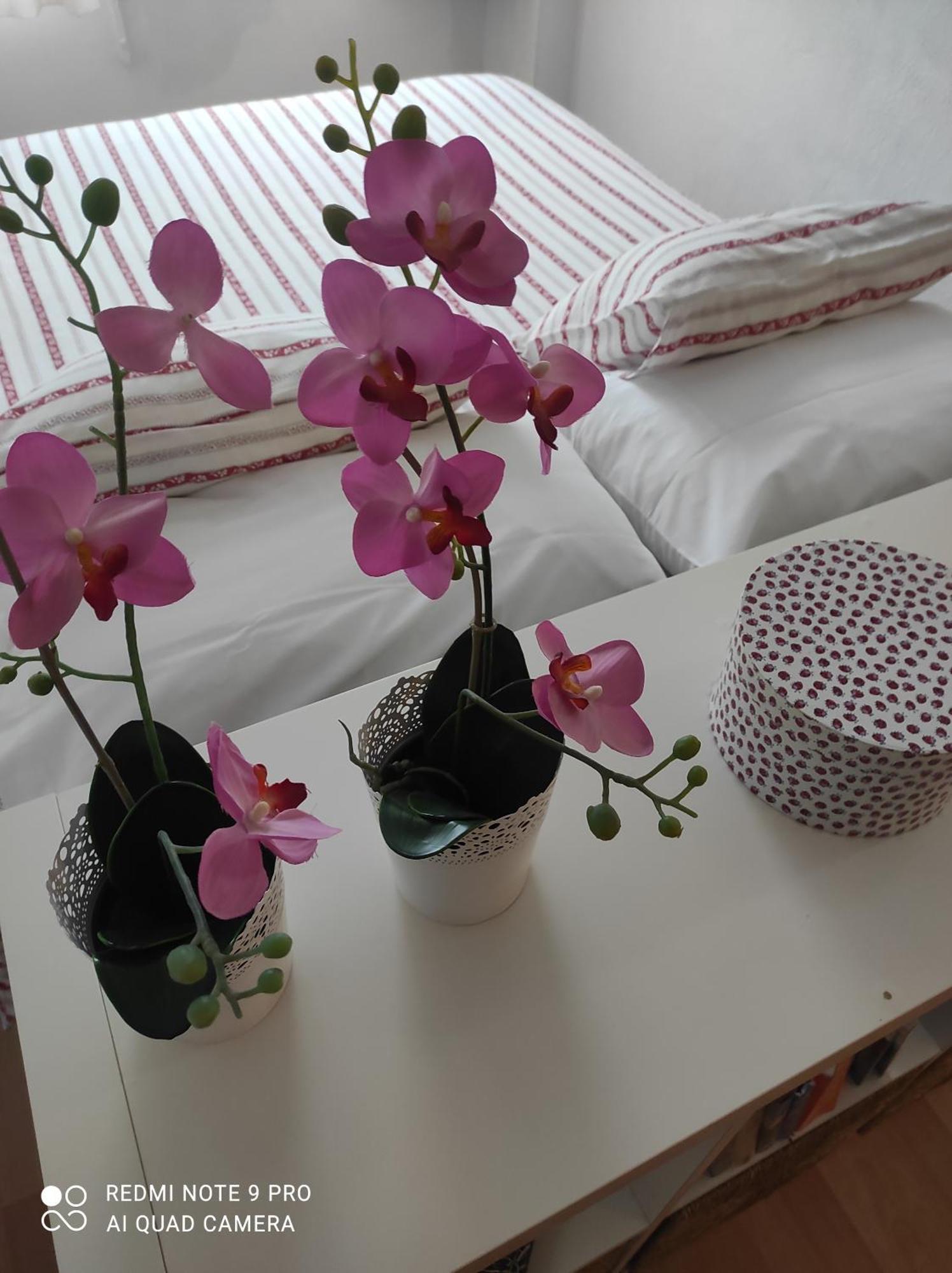 San Francisco Sea View Apartman Benalmádena Kültér fotó